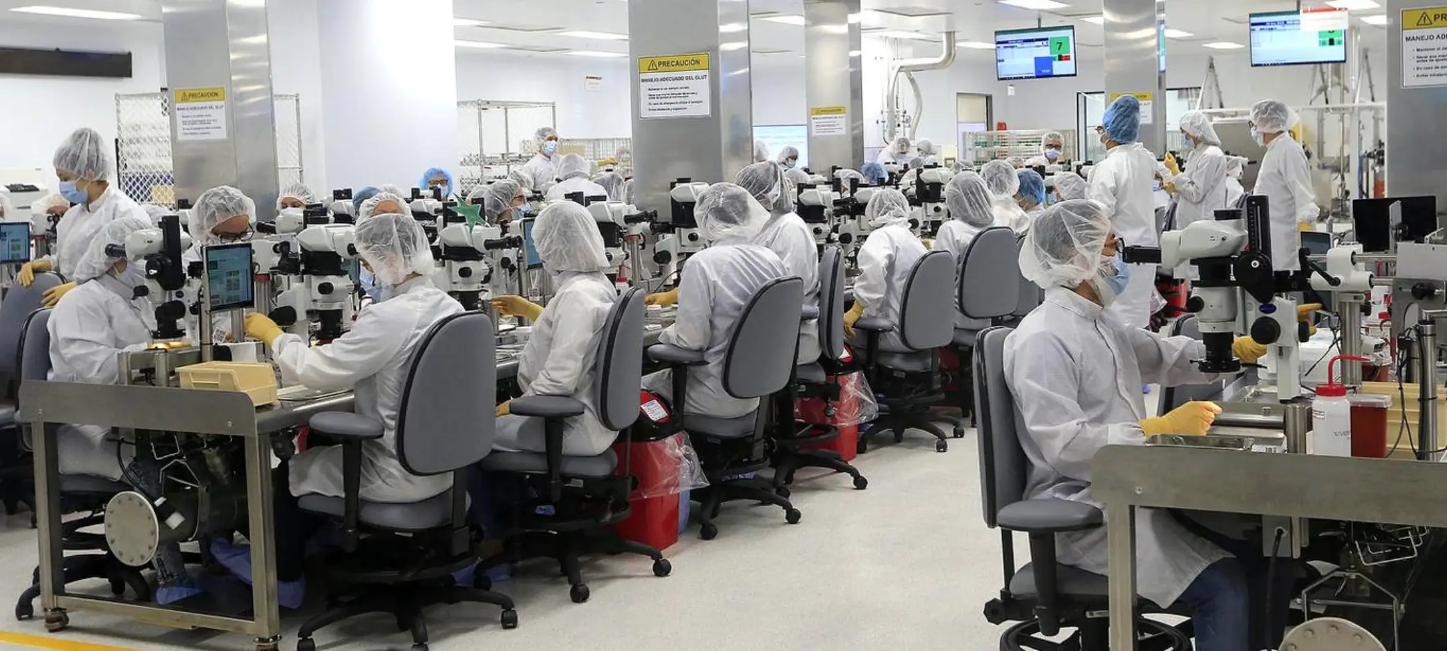 La diversificación fue clave en la recuperación del empleo