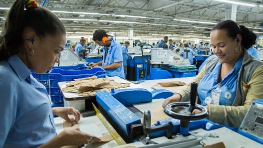 Zonas Francas reportan cuarto mes consecutivo de crecimiento en exportaciones